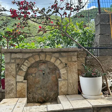 Apartment Stayn'jug Vlorë